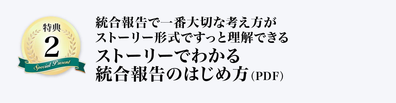 ストーリーでわかる統合報告のはじめ方（PDF）